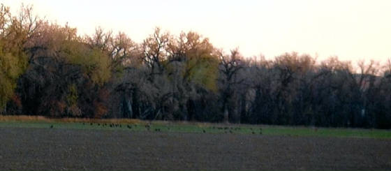 img003.jpg